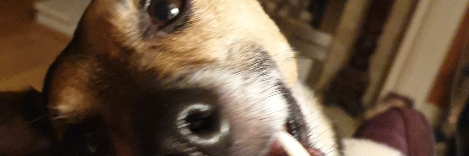 sueby71's profile banner image