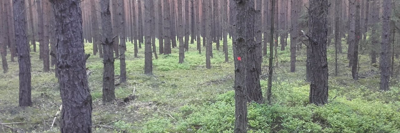 ArkadiuszPanek's profile banner image