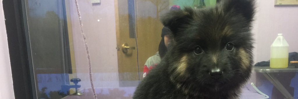 A_Cole0's profile banner image