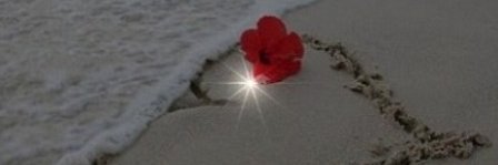 PritviAvataar's profile banner image
