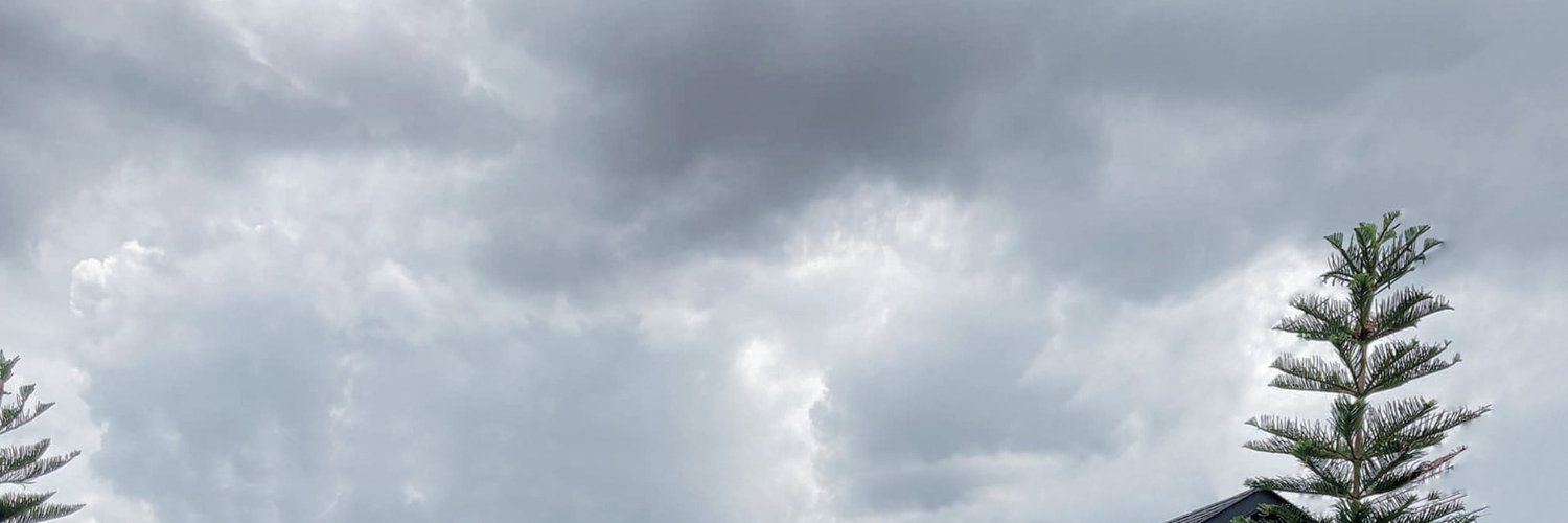 Mr.ERG Meshchain.Ai banner