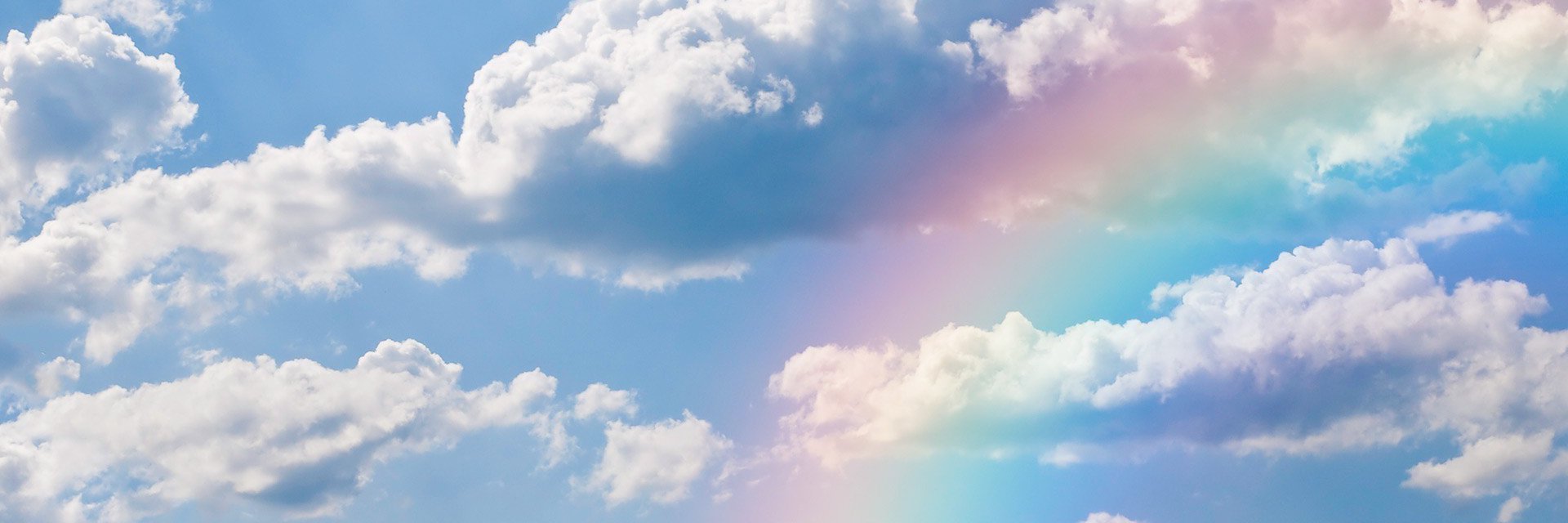 NicoleNightly's profile banner image
