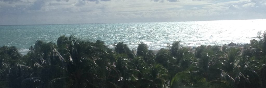 paulomoncherry's profile banner image