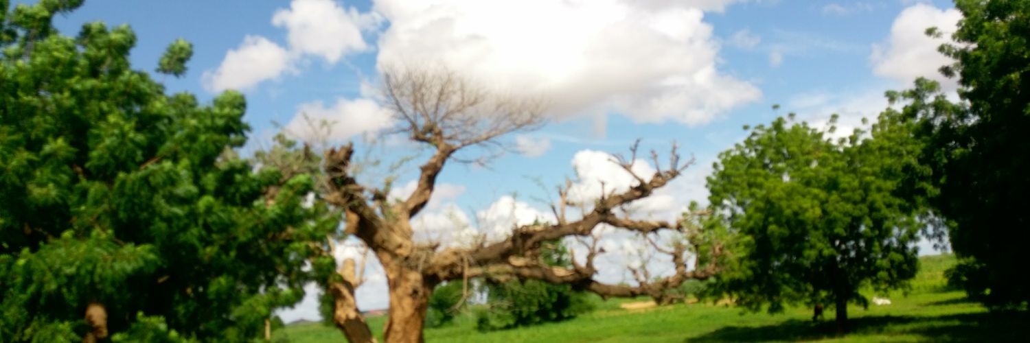 AABangola's profile banner image