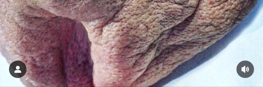 ᑲᥙƒƒᥲꙆo ᥴᖾɩꙆᑯɾᥱᥒ⳽ banner