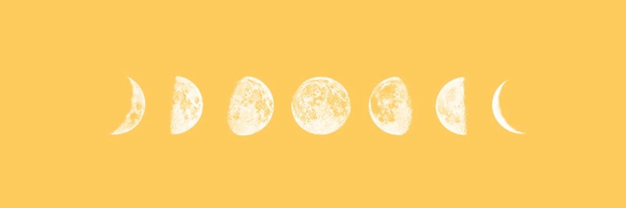 lizzlynn_'s profile banner image