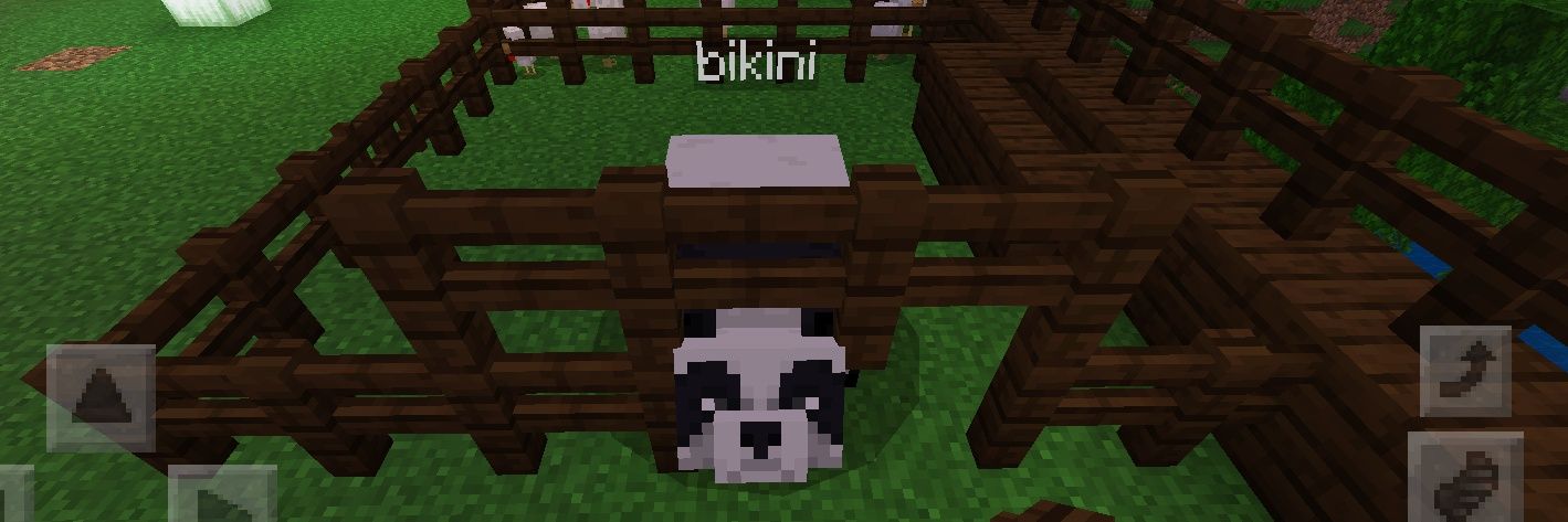 Ronborn2pizza's profile banner image