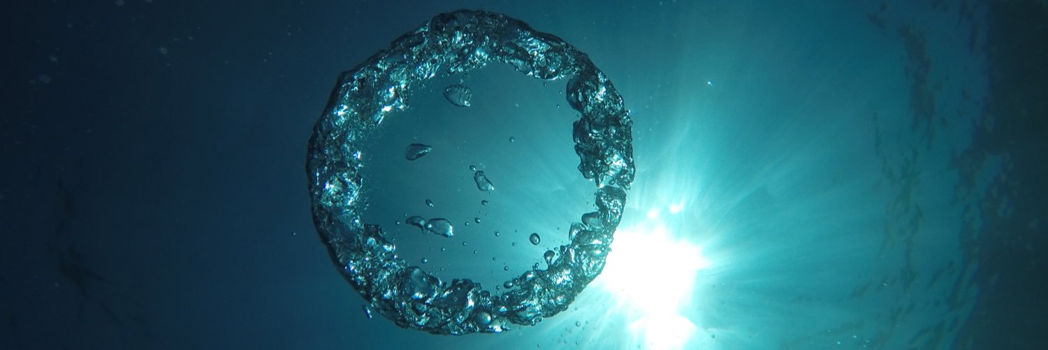 Leonidas Pitsoulis banner