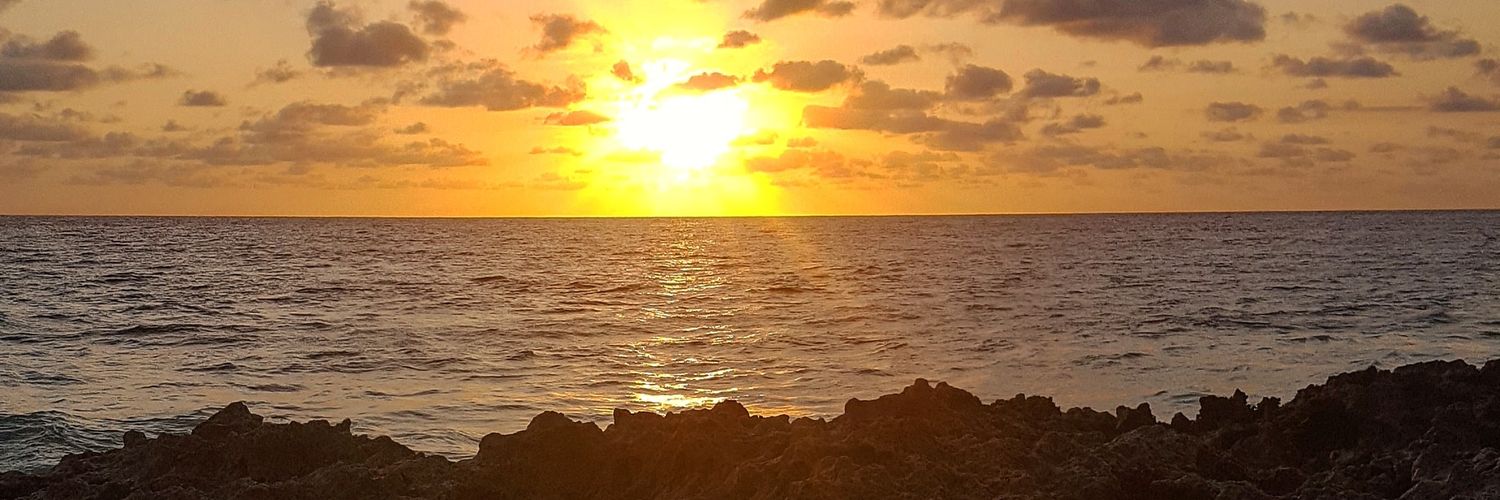 TZaqueu's profile banner image