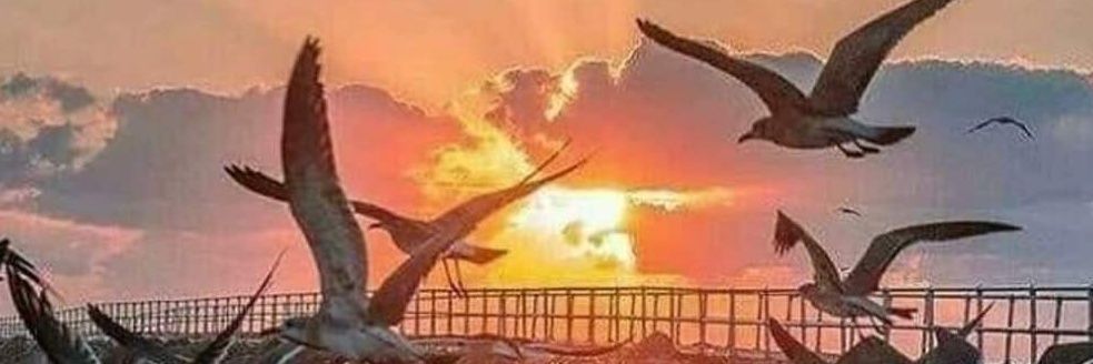 Juventini__8's profile banner image