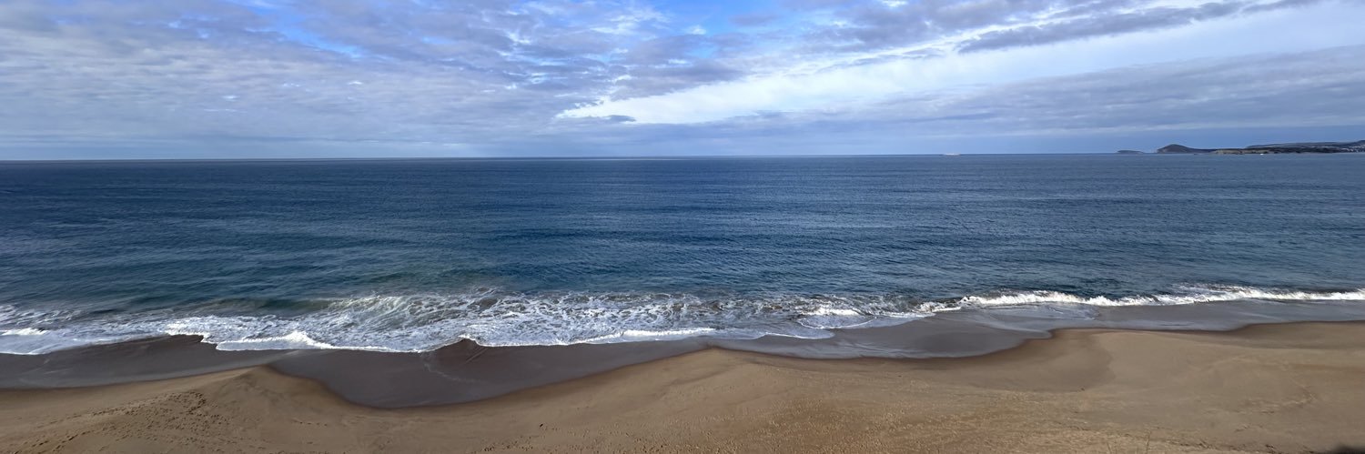 Crowid Michael banner