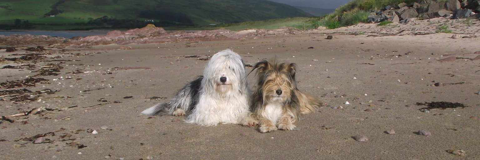 ailsa6918's profile banner image