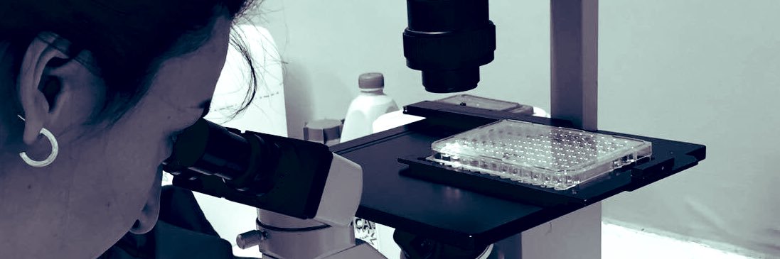 CBolum's profile banner image