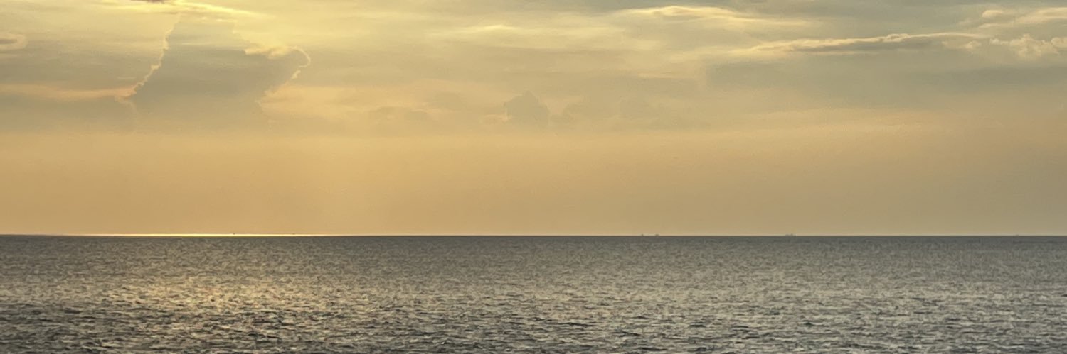 _Mepui's profile banner image