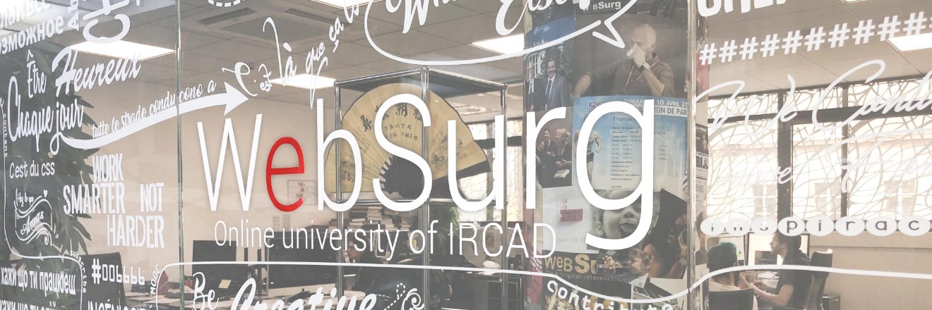 WebSurg's banner