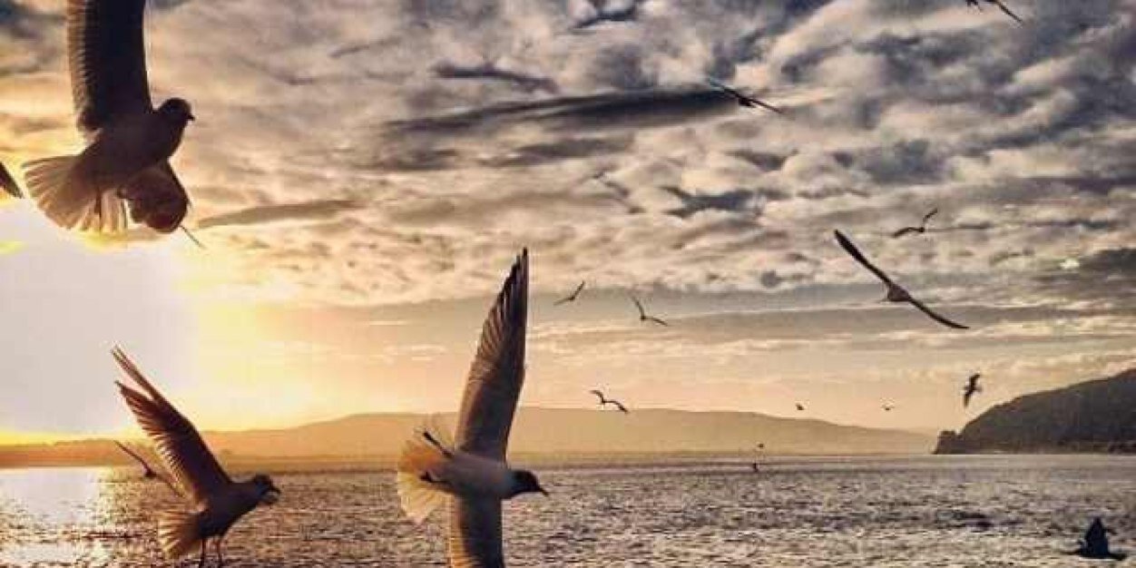 Alaa_alsagri's profile banner image