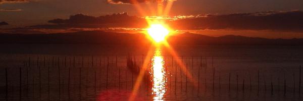 liloelwapo Profile Banner