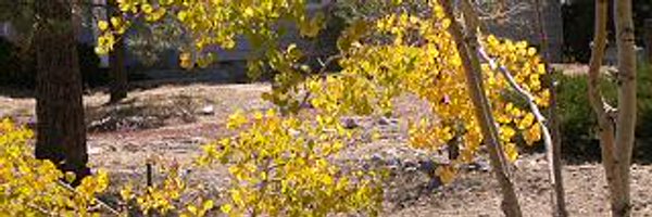 nativegardener Profile Banner