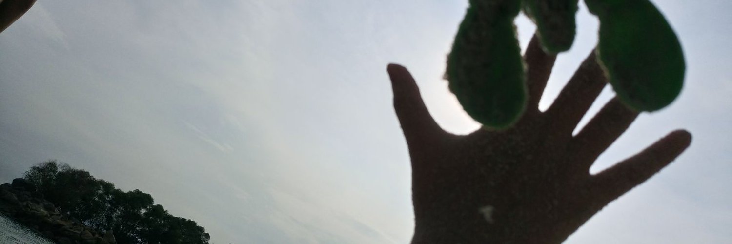 mechelmich's profile banner image