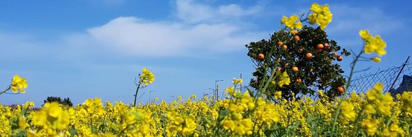 forsun31 Profile Banner