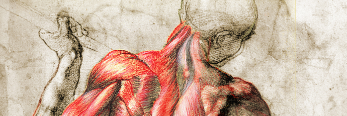 AnatomiaUy's profile banner image