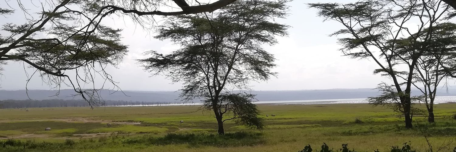 BobNturibi's profile banner image