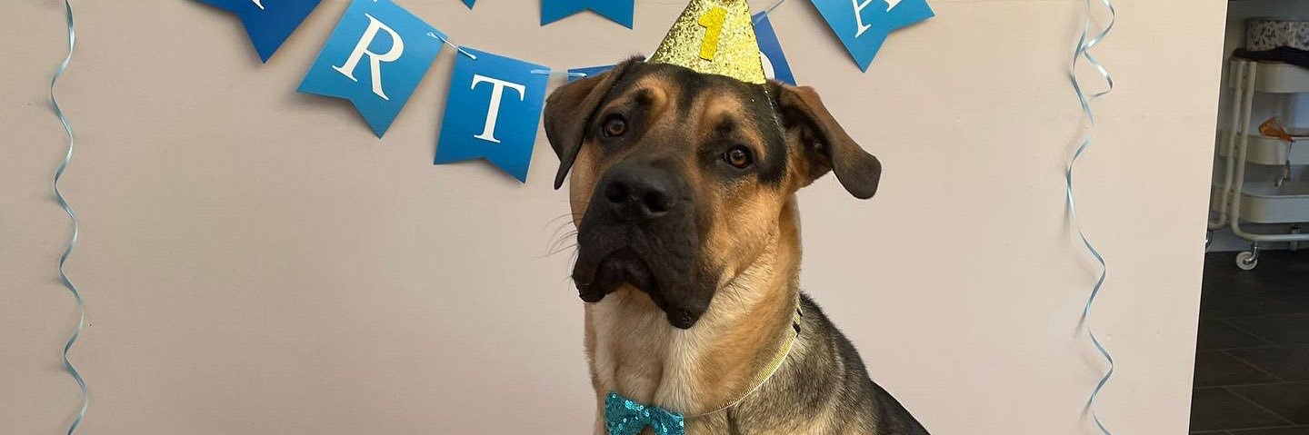 Joni Thompson banner