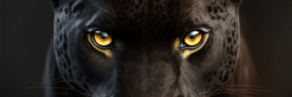 Ishki Itáka 🍯👑🐝✨'s banner