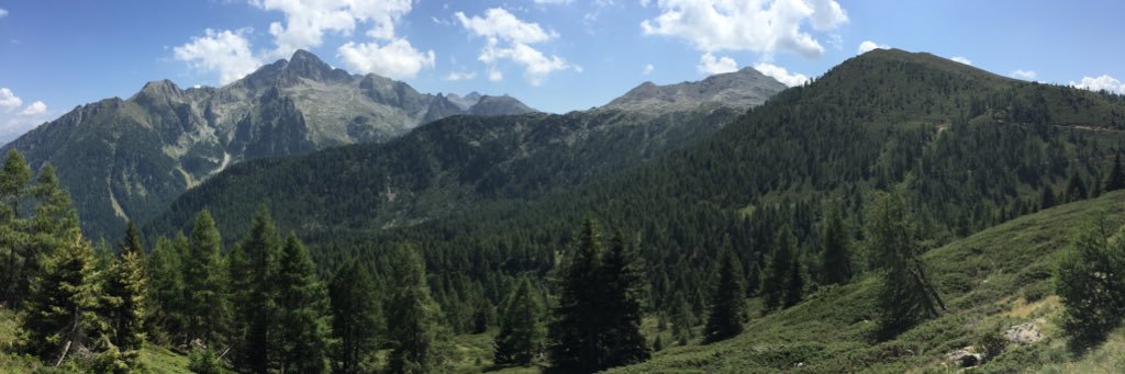 Francesco Conci banner