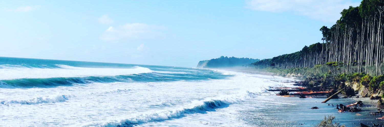 Alysha Razvi banner