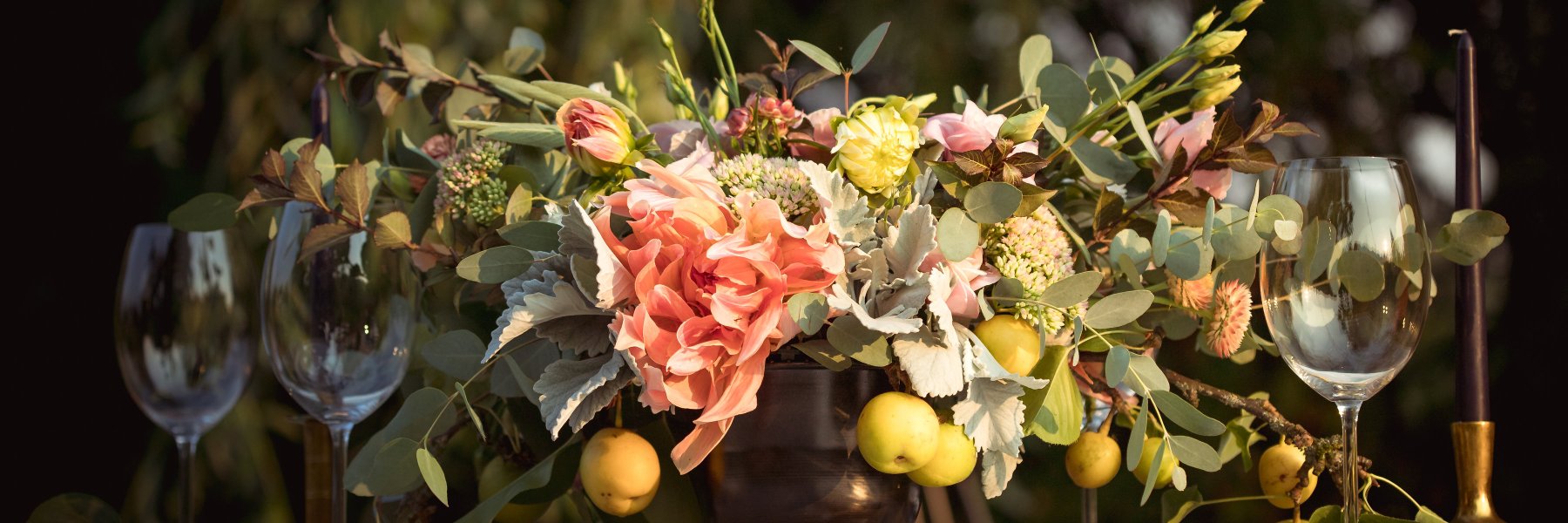 bloomingmeadows's profile banner image