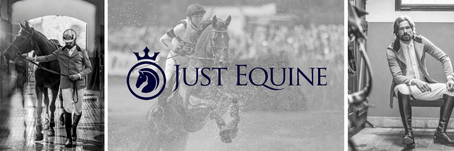 Just Equine banner