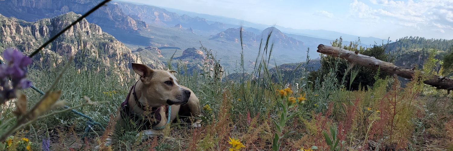 Xenia (zen-knee-uh) banner