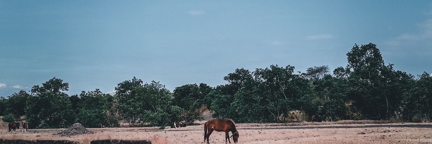 wiragus_'s profile banner image