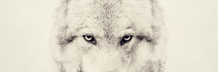 faridazmiii's profile banner image