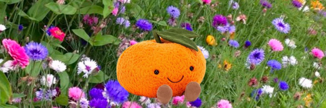 CheaaaBree's profile banner image