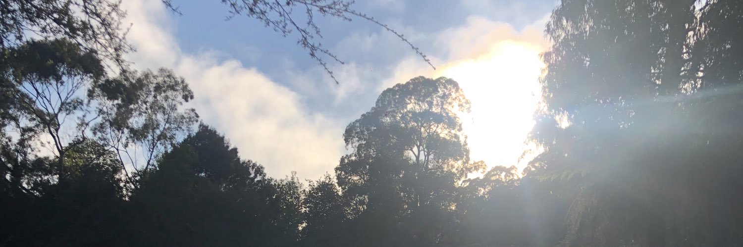 CurrieKelsey's profile banner image