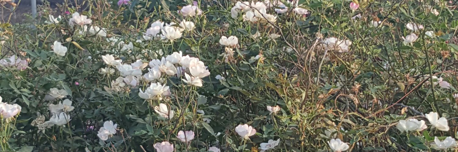 soumanatraore14's profile banner image