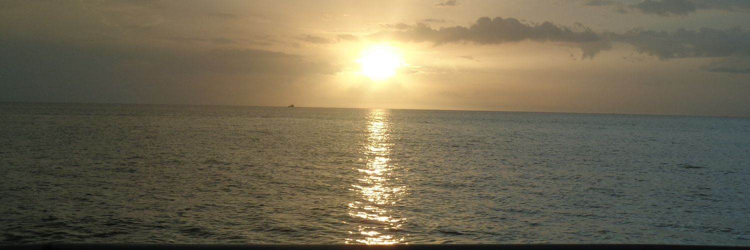 emeleroe2's profile banner image