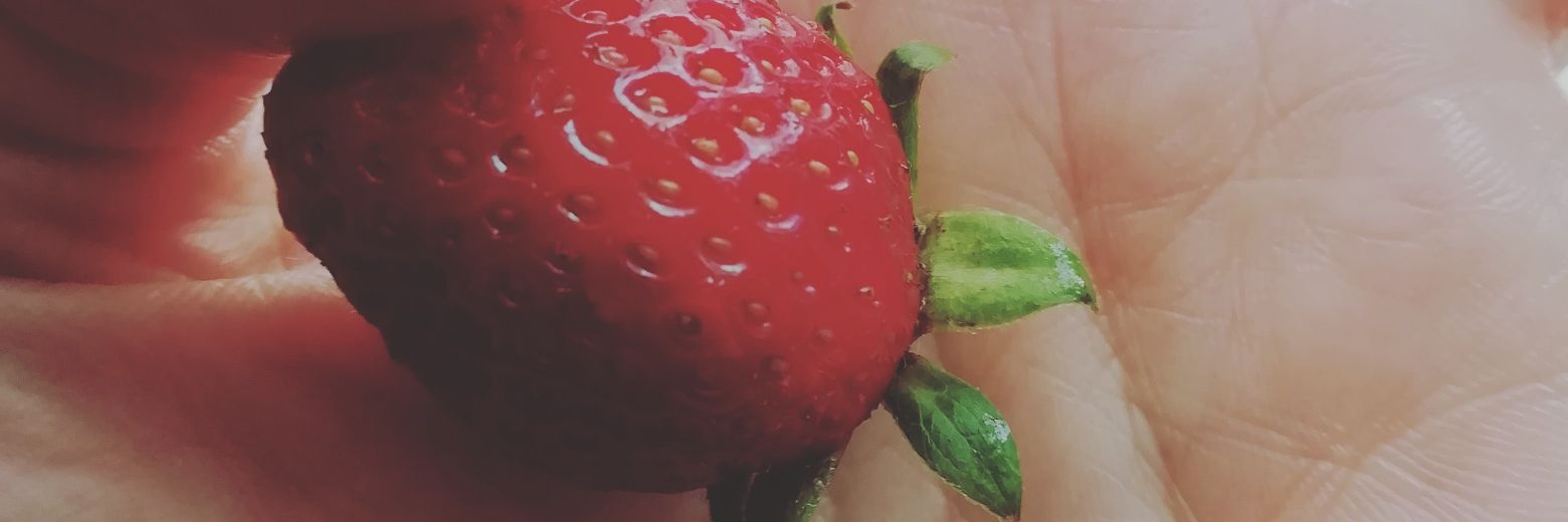 Luigiagi12's profile banner image