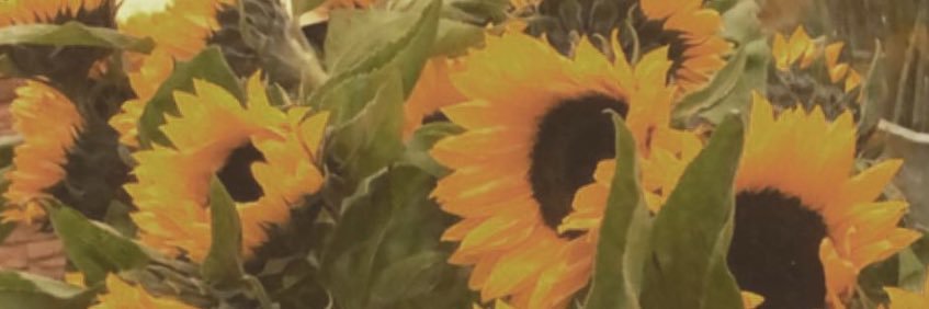 فّيء السعد banner