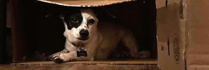 Rob Burgess 🇨🇦 banner