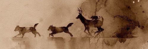 systemof_elo's profile banner image
