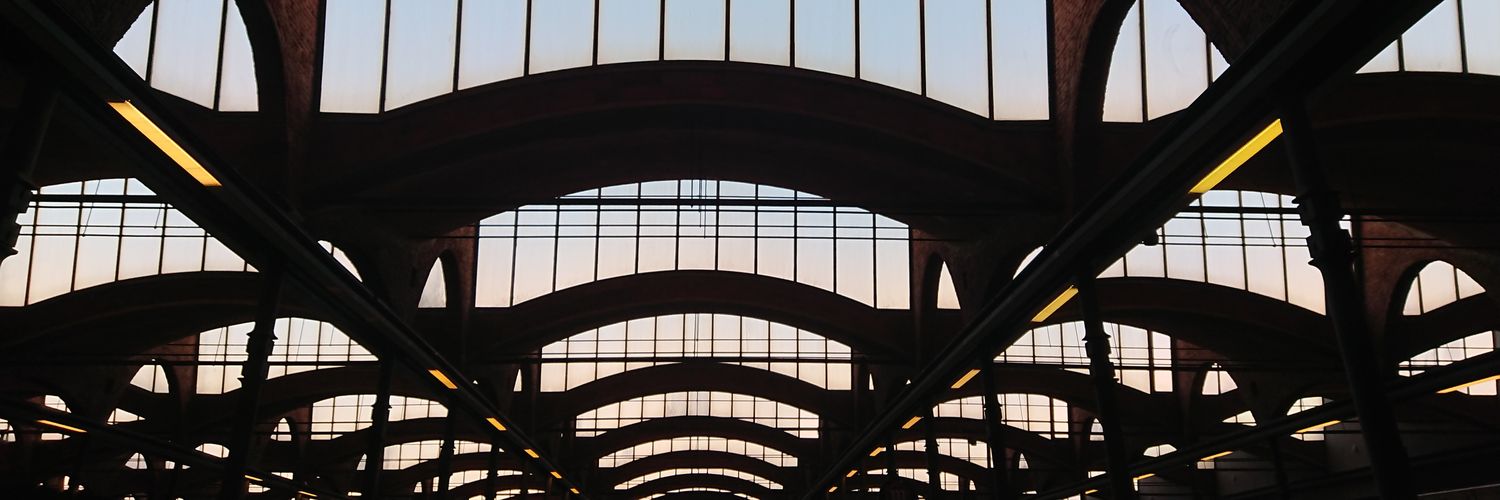 Susanna Ayné banner