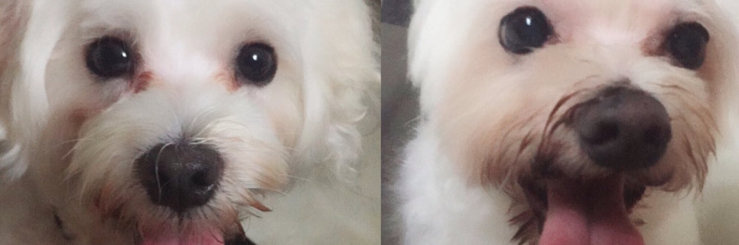 bwennda's profile banner image