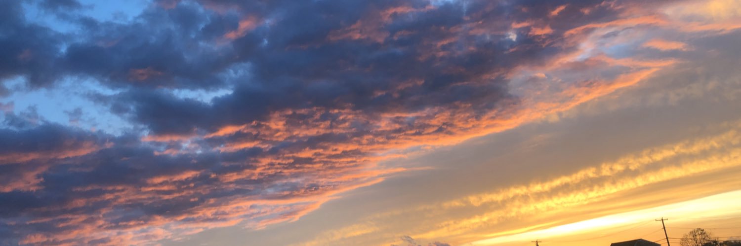 Emilyy5319's profile banner image