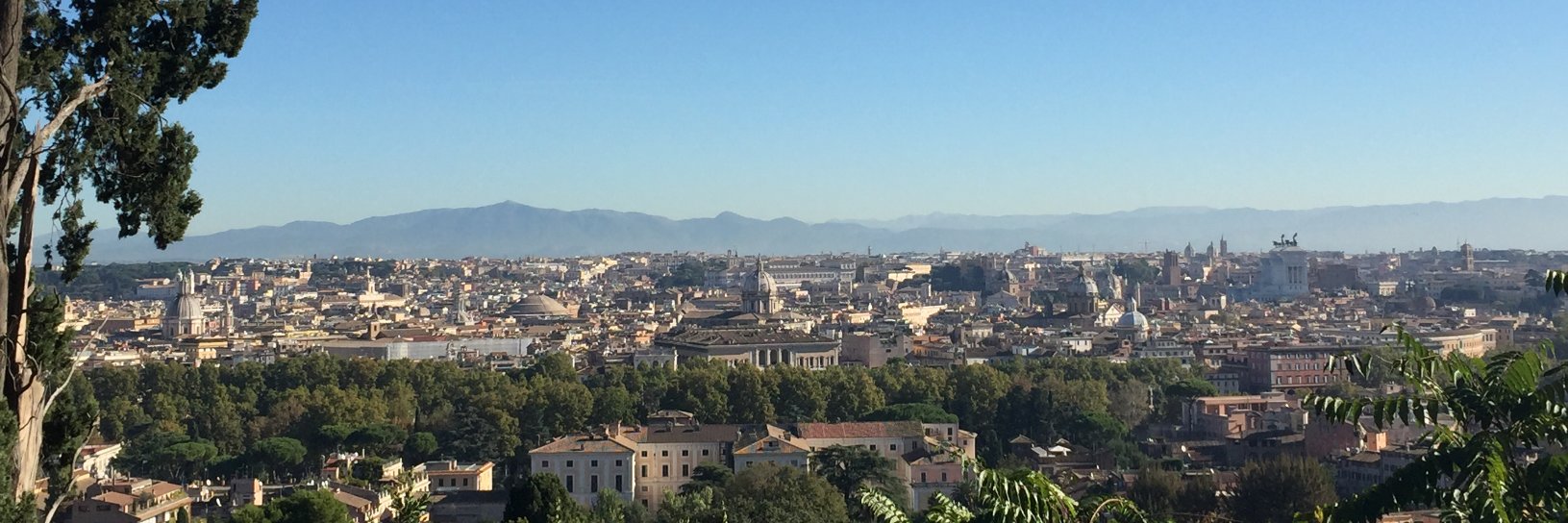 Laura Keustermans banner