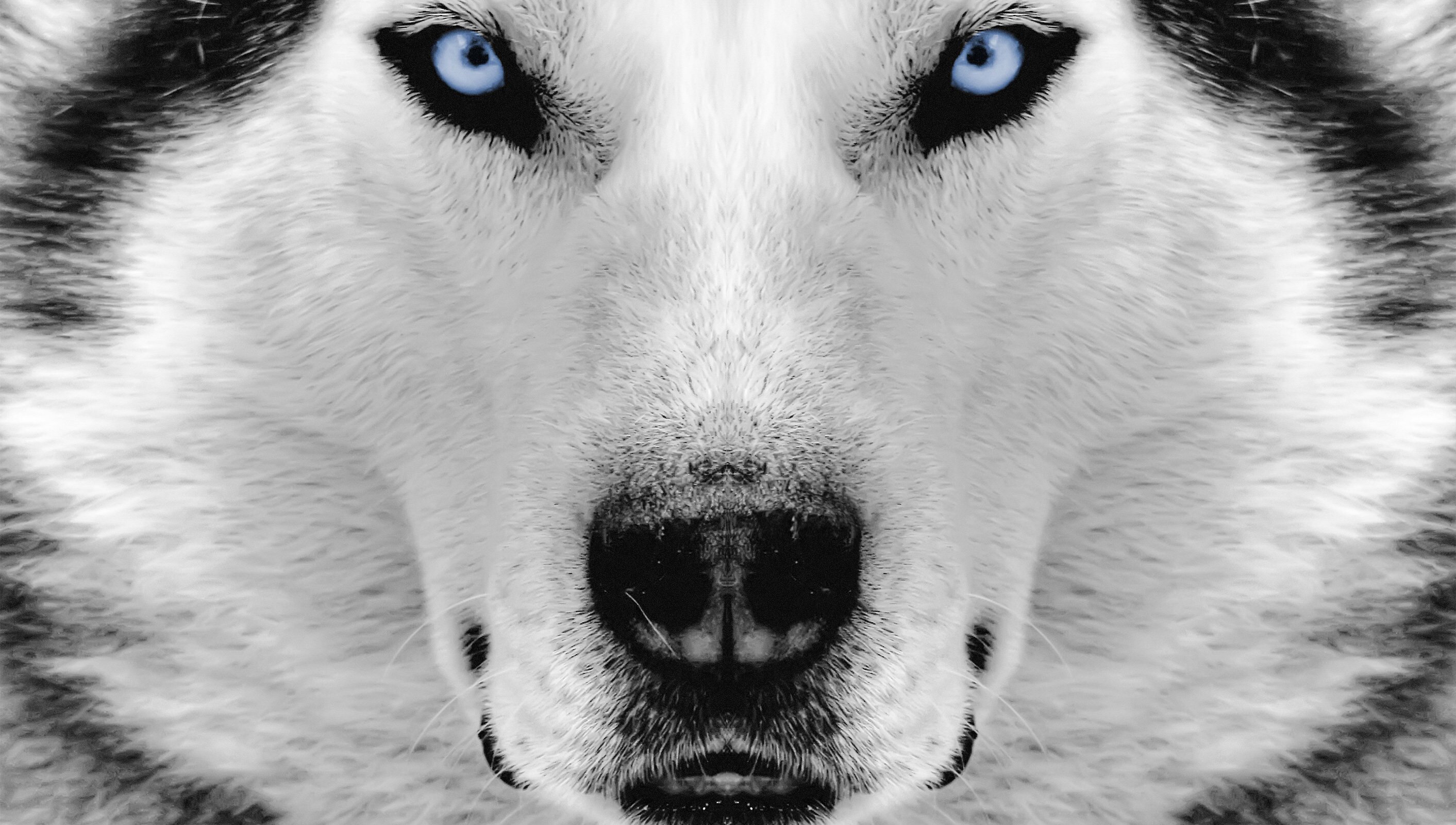 WillyXuu's profile banner image