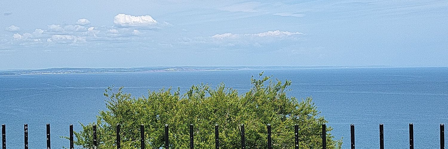 Rhys Morgan-Vale banner