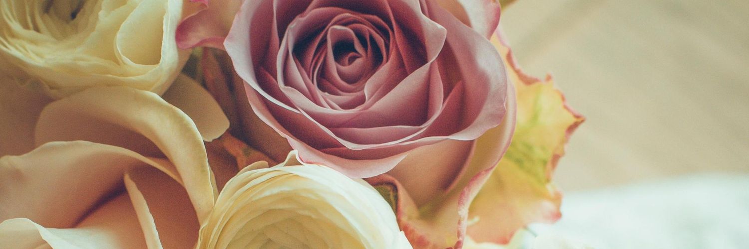 CoL0ue's profile banner image